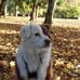 Jon Few - Facebook