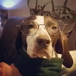John Fewster - @john.fewster10 - Instagram
