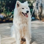 John Fielder - @brewer_7473 - Instagram