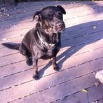John Fielder - @8mojo8 - Instagram