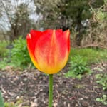 John Fielder - @johnf13ld3r - Instagram