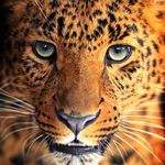 John Files - @bigdaddystix - Instagram
