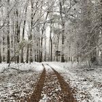 John Files - @delta_traveler - Instagram