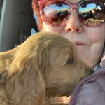 @pam.johnson.fillingim - Instagram