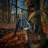 johnfini485 - @johnfini485 - TikTok