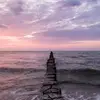 Jon Finkelstein Jonny be good - @jonfinkelstein - TikTok