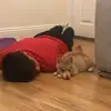 john_finnegan_ - @john_finnegan_ - TikTok