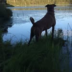 John Fish - @john.fishman105 - Instagram