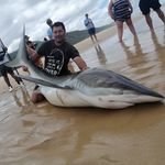 John Fish boy Gerber - @johnfishboy - Instagram