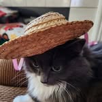 John Fisher - @john_fisher11811 - Instagram