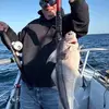 Johnfish - @johnbaumann3 - TikTok