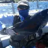 Johnson.fish - @johnson.fish - TikTok