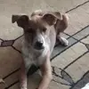 John Flaherty - @john.flaherty1 - TikTok