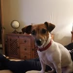 John fleet - @john7fleet - Instagram