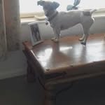 John Fleet - @fleet7532 - Instagram