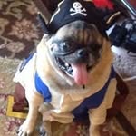 John Fleming - @johnfleming1539 - Instagram
