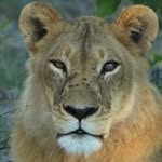 John Flink - @johnflik2364 - Instagram