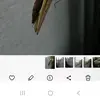 johnflinko8 - @johnflinko8 - TikTok