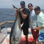 John Flood - @jmfpafjf - Instagram