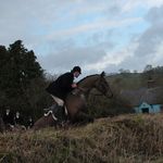 John Flood - @johnflood1983 - Instagram