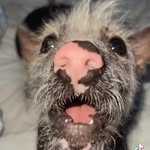 John_flying_man1329 - @niyogisubizojohn - Instagram