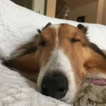 John Huang - @john_flying_out_of_universe - Instagram