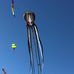 John Rose Kite-Flying Family &amp; Friends - Facebook