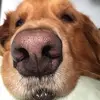 johnfogleman381 - @johnfogleman381 - TikTok