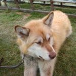 John Folger - @jffolger13 - Instagram