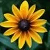 John Foody - @john.foody - TikTok