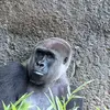 John Forero - @john.forero27 - TikTok