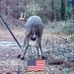 John Foret - Facebook