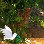 John Farhan - Facebook