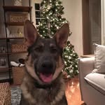 John Forster - @john.forster - Instagram
