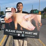 John Fortino - @johnfortino - Instagram