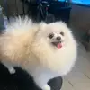John forget official 🥀🥀 - @john.forget.offic - TikTok