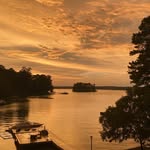 John Foshee - @fosheejo - Instagram