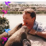 John Fosse - @johnarlyfosse - Instagram