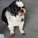 John Fotovich - @johnfotovich - Instagram