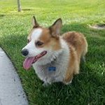 john foulks - @john.foulks - Instagram
