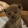 John - @john.not.found - TikTok