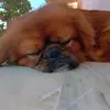 John fountas - @john.fountas - TikTok