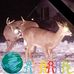John Fouracre - Facebook