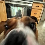 John Fournier - @johnfournier13 - Instagram