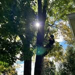 John Fournier - @johnny_gymmm - Instagram
