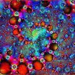 John Fournier - @johngfournier - Instagram