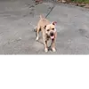 John Foust - @john.foust5 - TikTok