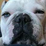 John Fout - @foutjohn - Instagram