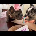 Beki Fragomeni Jones - @bekifrago - Instagram