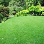 John Frain - @johnfrainn - Instagram